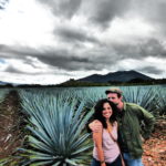 champs d'agave azul à Tequila